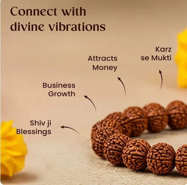 7 Mukhi Nepali Original Rudraksha Bracelet With Lab Tested Beads – Spiritual Rudraksha Bracelet