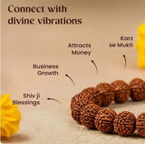 7 Mukhi Nepali Original Rudraksha Bracelet With Lab Tested Beads – Spiritual Rudraksha Bracelet