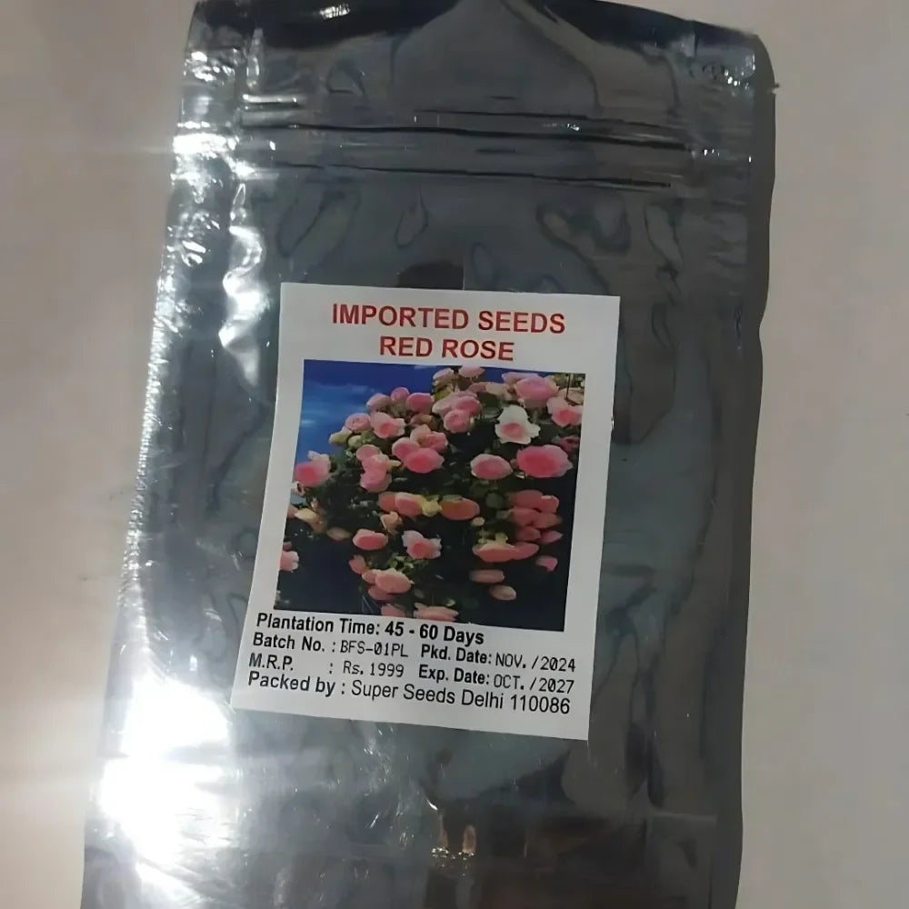 Elegant Climbing Rose Flower Seeds- The Queen of Garden Flowers, Easy to Plant and Low Maintenance