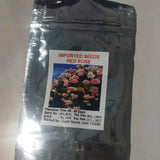 Elegant Climbing Rose Flower Seeds- The Queen of Garden Flowers, Easy to Plant and Low Maintenance
