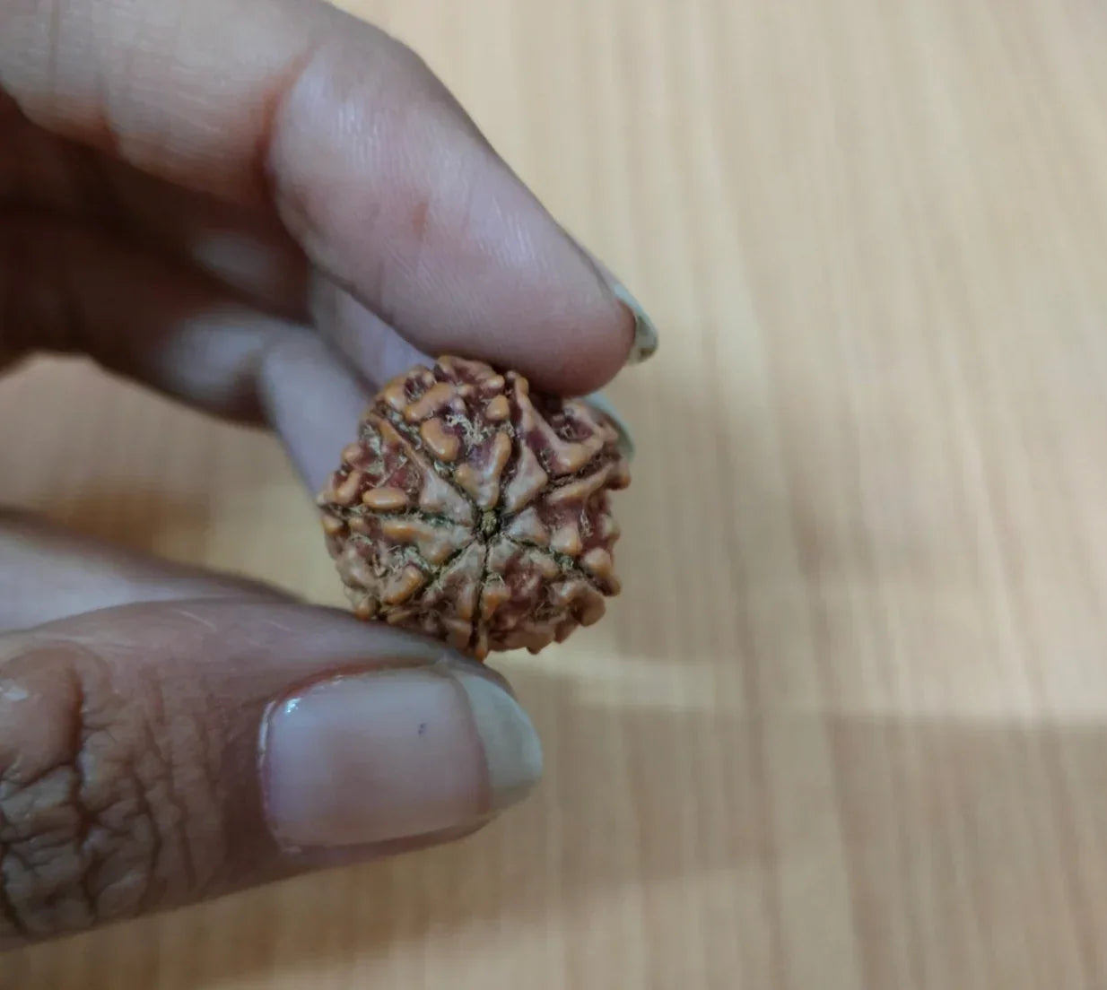 7 Mukhi Nepali Original Rudraksha Bracelet With Lab Tested Beads – Spiritual Rudraksha Bracelet